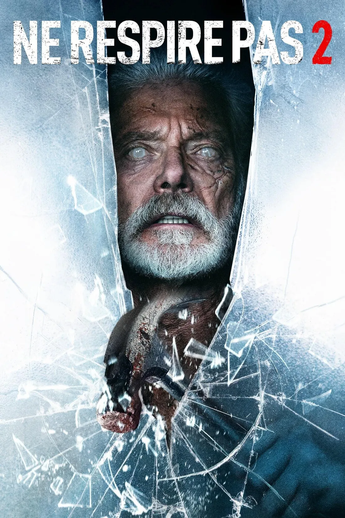Don't Breathe 2 (2021)