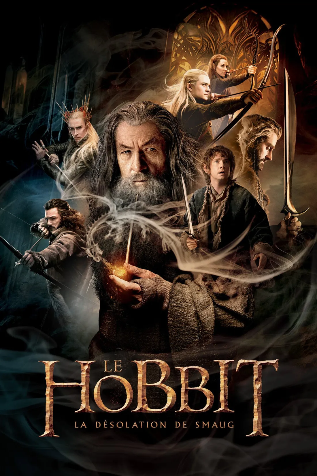 Le Hobbit: La désolation de Smaug (2013)