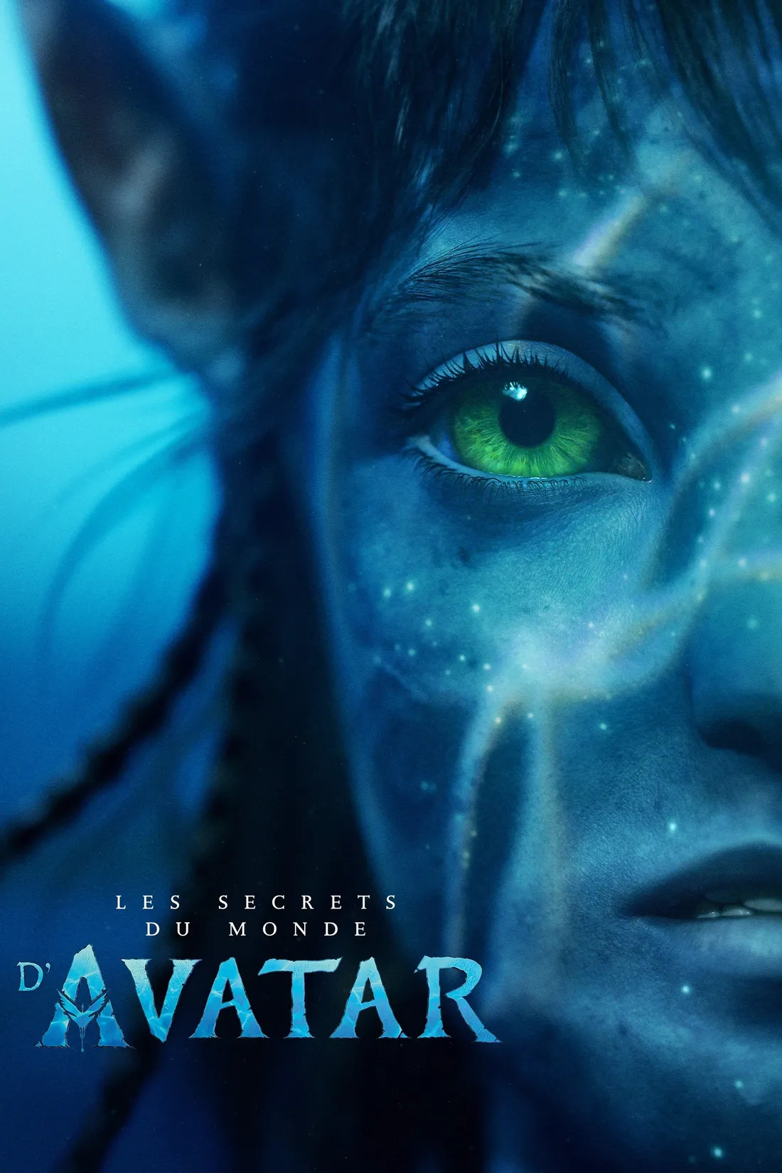 Les Secrets du monde d'Avatar (2022)