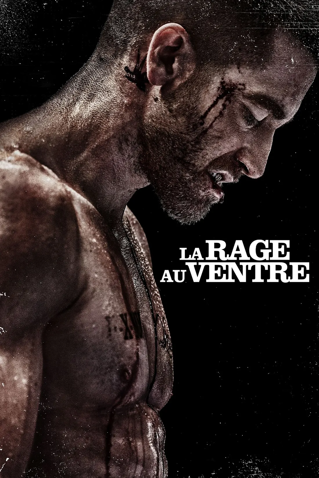 La Rage au ventre (2015)