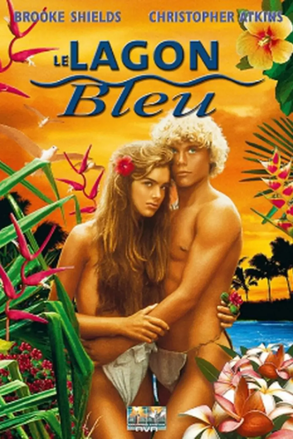 Le Lagon bleu (1980)
